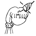 dangofig12