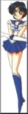 Sailor Mercury, anime