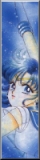 Sailor Mercury, manga