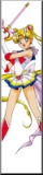 Super Sailormoon, anime