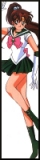 Sailor Jupiter, anime