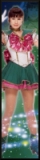 Sailor Jupiter, musicals